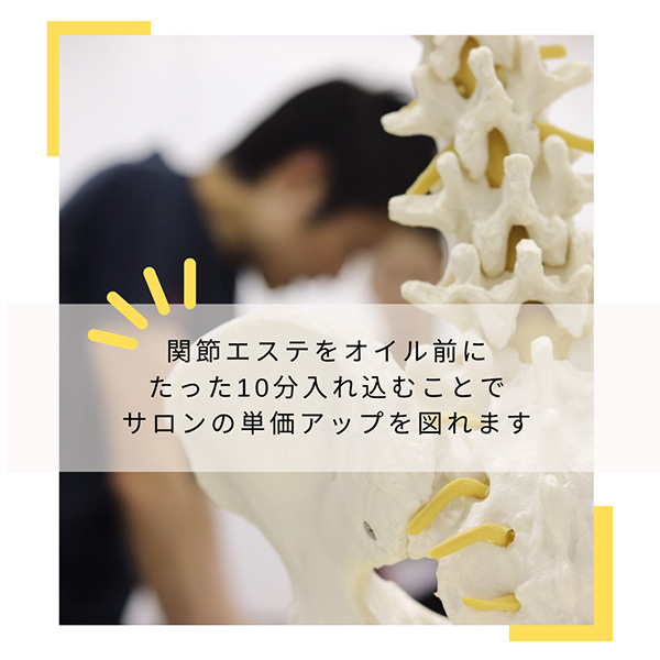 部位別「美容骨格矯正」導入セミナー[関節エステ 1DAY集中講座編]