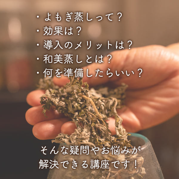 【オンライン：ライブ配信】和美蒸しサロンの始め方